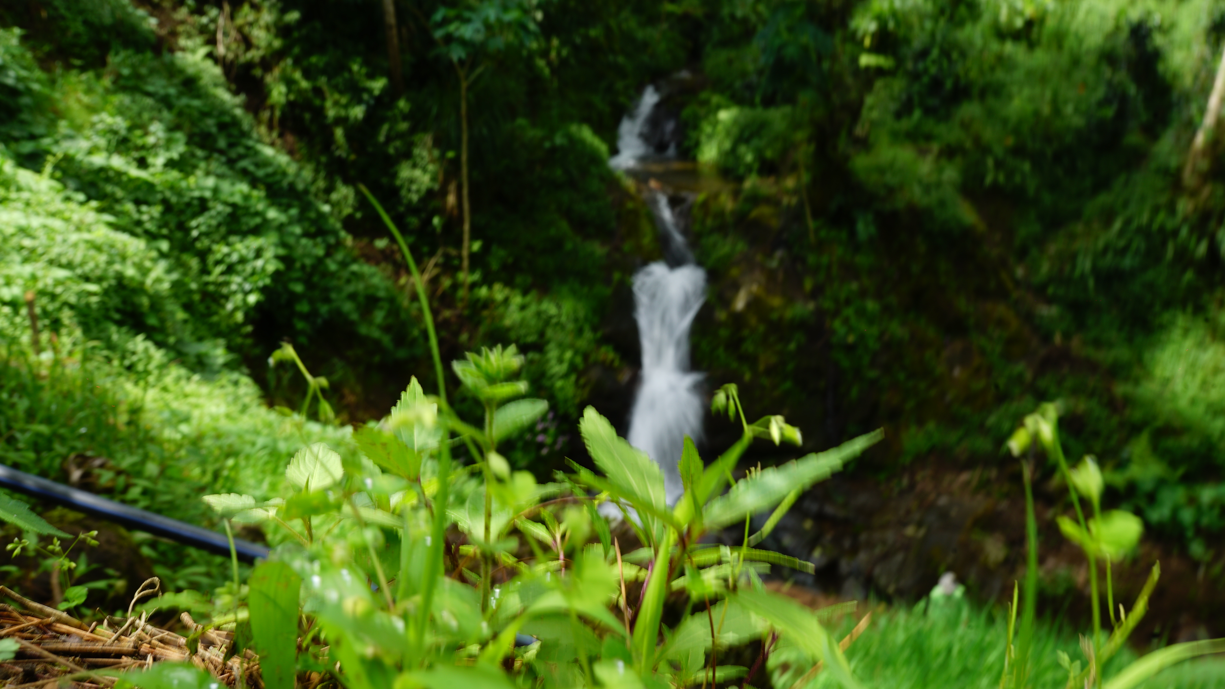 Akses Curug Air Terjun 