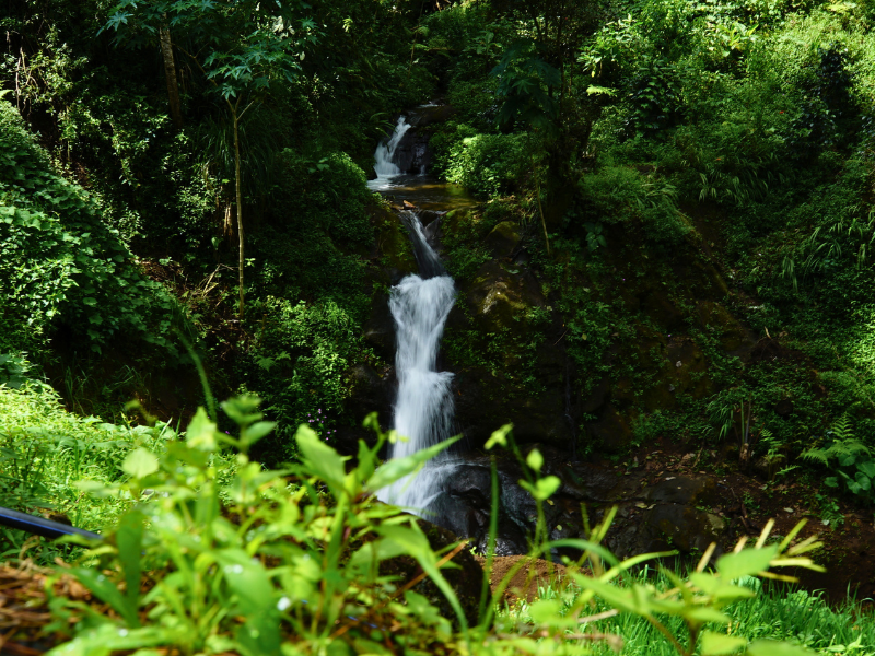 Curug (Air Terjun)